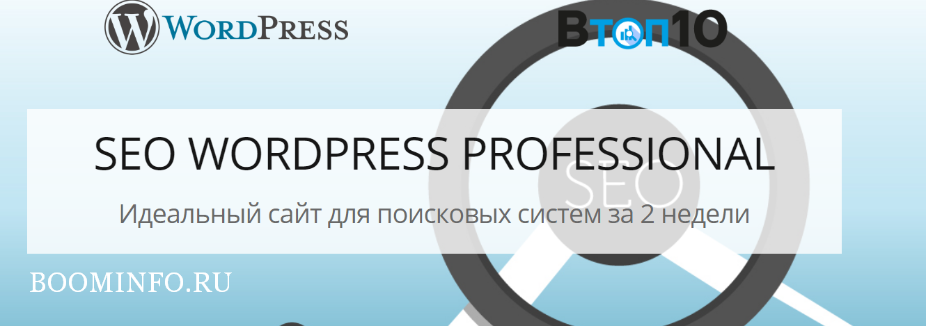 SEO WORDPRESS PROFESSIONAL (2018) Идеальный сайт д_0.png